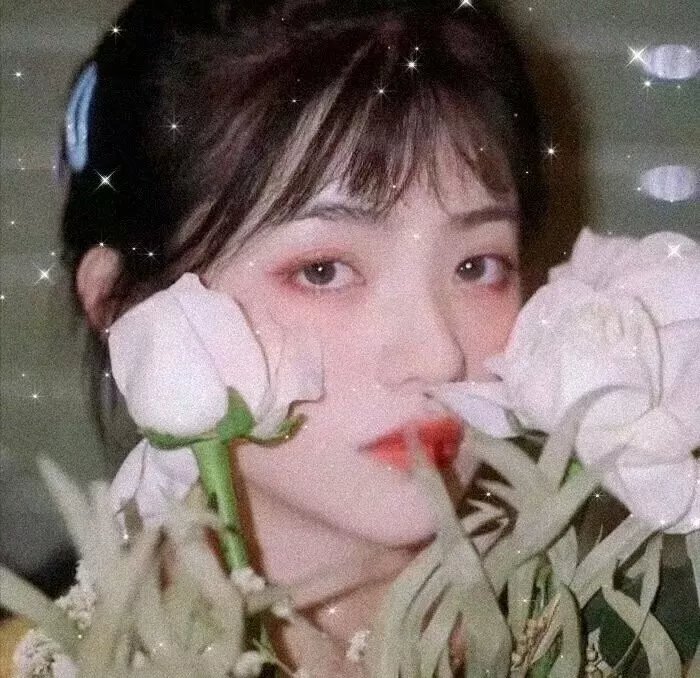 娘心计 在线观看
